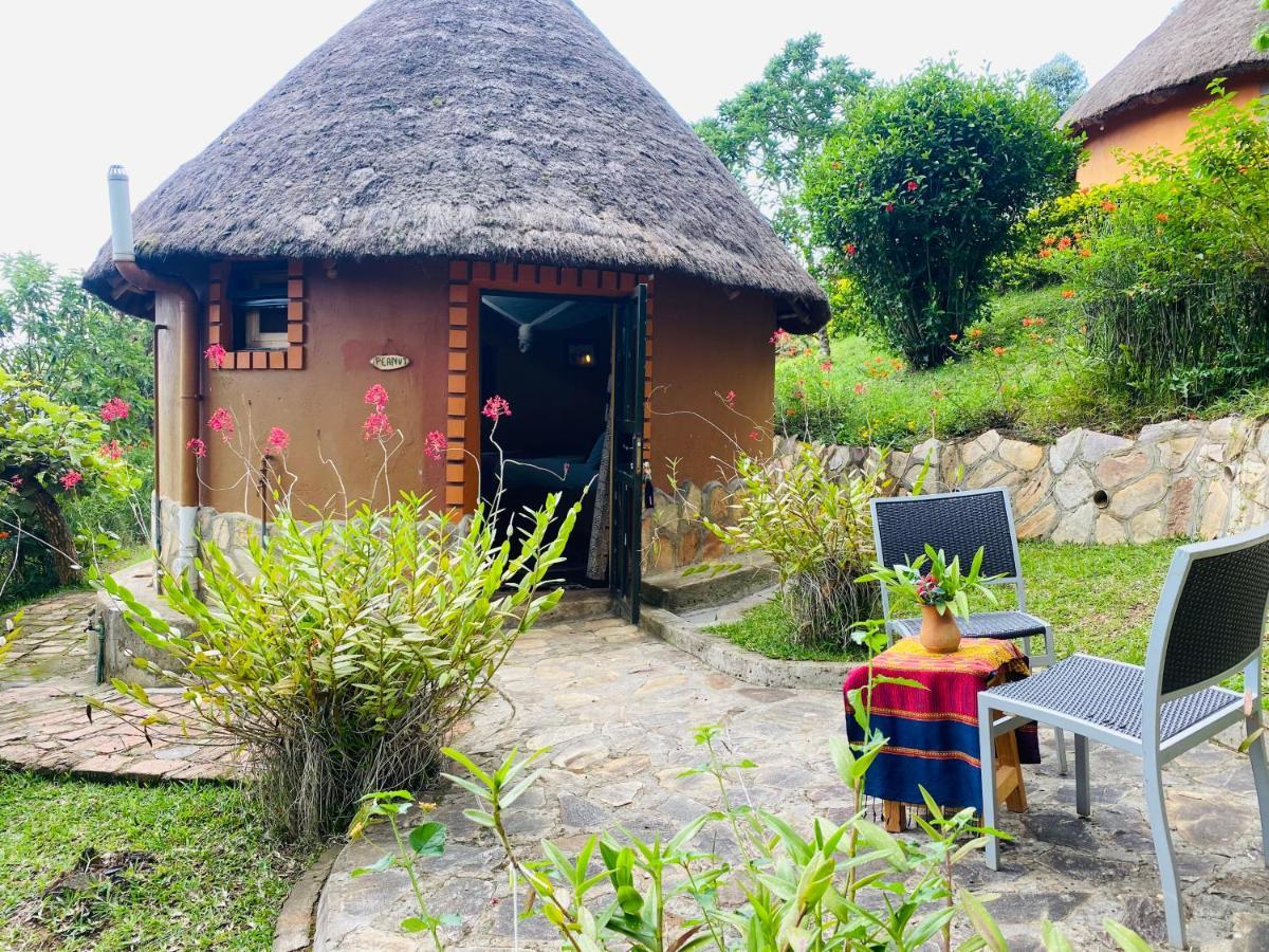 Nyore Hillside Retreat Mbarara Zewnętrze zdjęcie