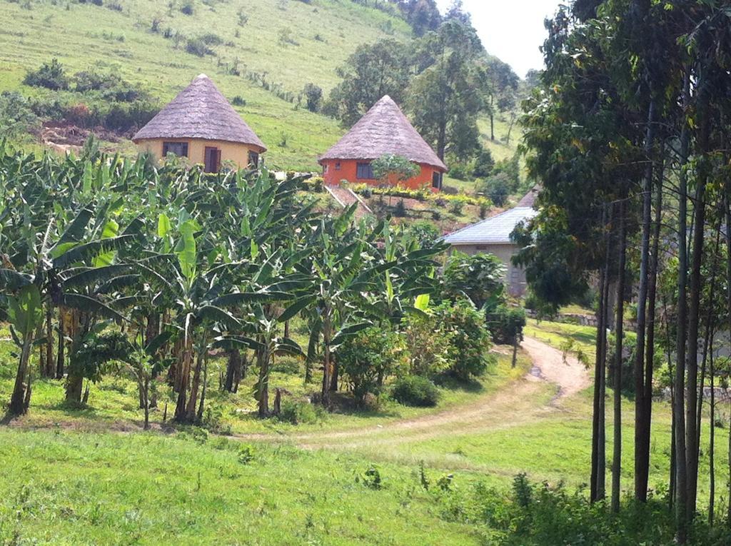 Nyore Hillside Retreat Mbarara Zewnętrze zdjęcie