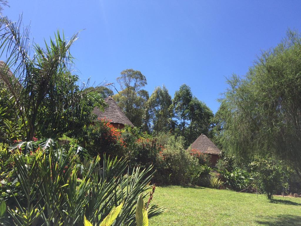 Nyore Hillside Retreat Mbarara Zewnętrze zdjęcie
