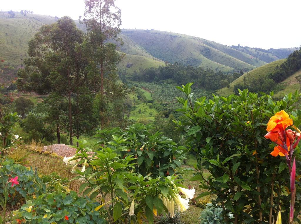 Nyore Hillside Retreat Mbarara Zewnętrze zdjęcie