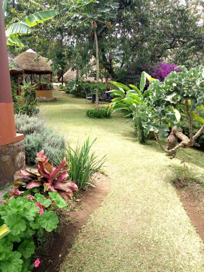 Nyore Hillside Retreat Mbarara Zewnętrze zdjęcie